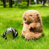 Brown Capybara Plush Driver Cover with Socks