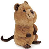 Short-tailed Dwarf Kangaroo Plush Driver Golf Headcover