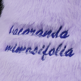 Jacaranda Mimosifolia Purple Fuzzy Driver Cover